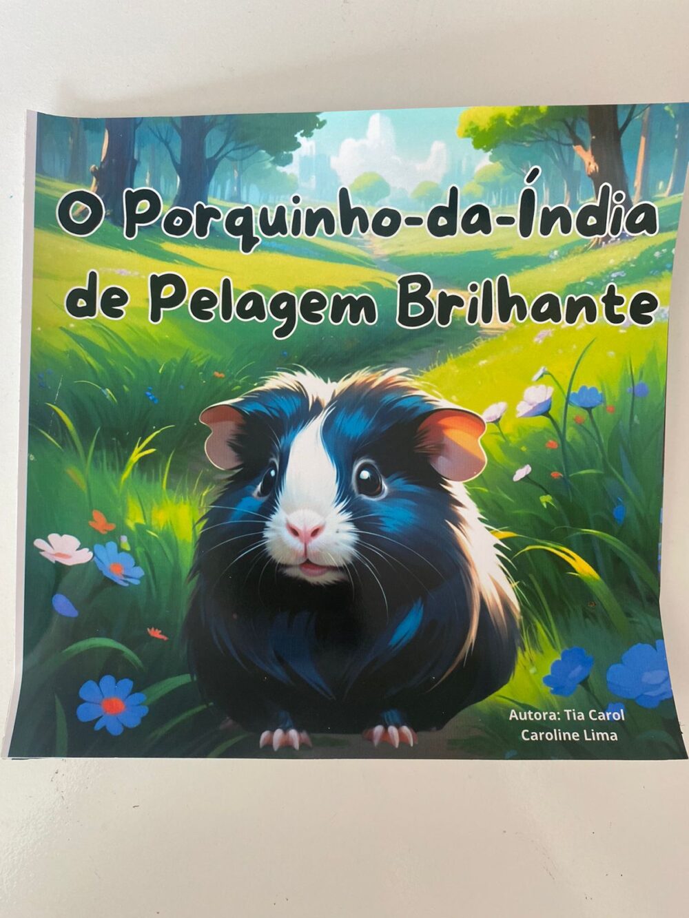 KIT HISTÓRIAS INFANTIS + BRINQUEDO DIVERSIDADE CULTURAL